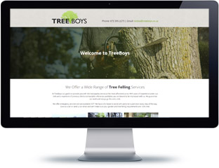 Tree Boys Website Design Port Elizabeth