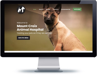 Mount Croix Vet Web Design Port Elizabeth