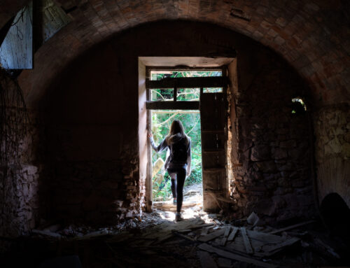 Tomb Raider – Next Chapter